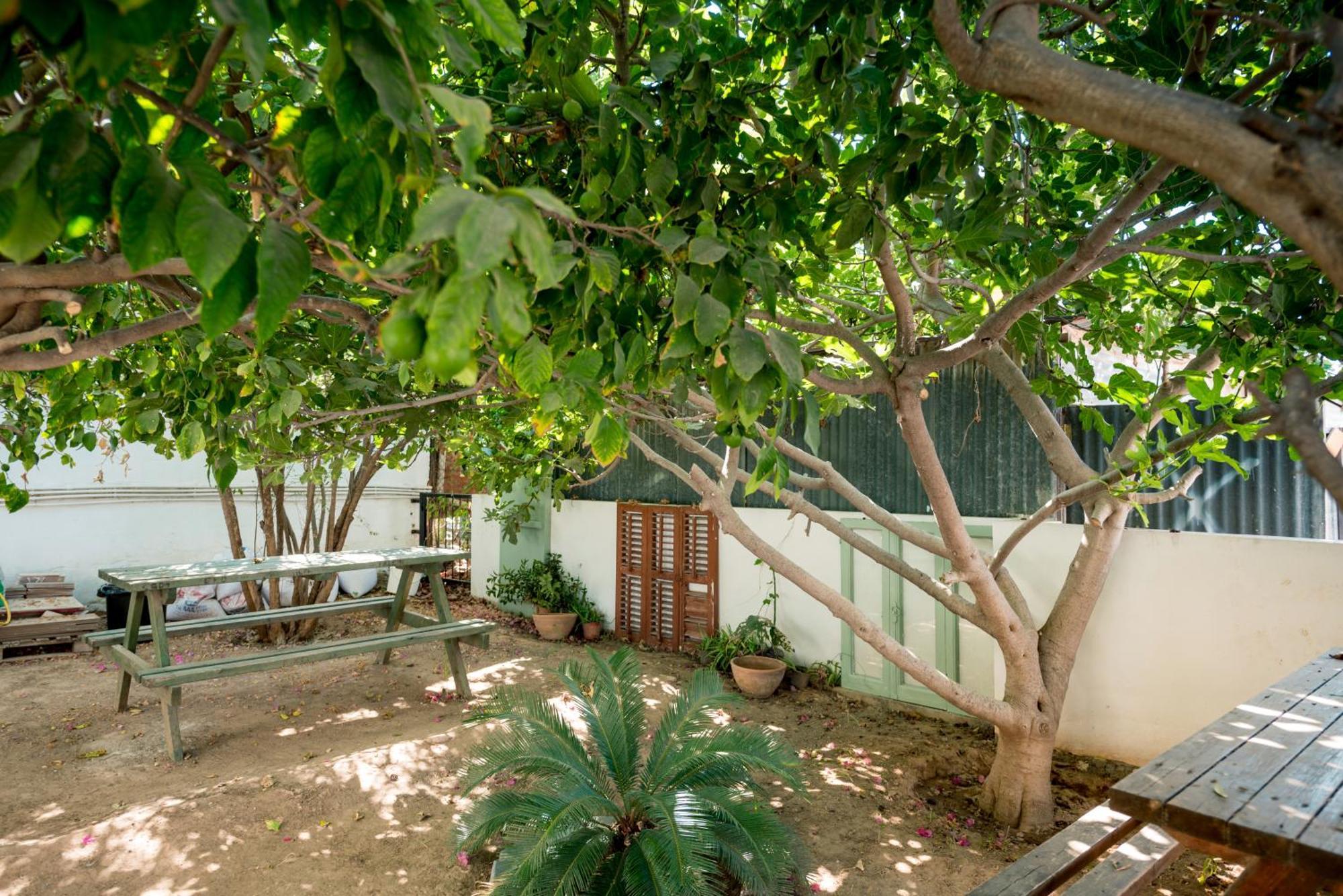 Diamante Guest House-Stone Room Famagusta  Ngoại thất bức ảnh
